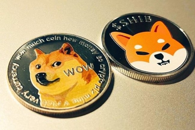 Twitter Logo Replacement Leads to 30% Price Increase In Dogecoin, Big Eyes Coin’s NFT Collection Dazzles Investors