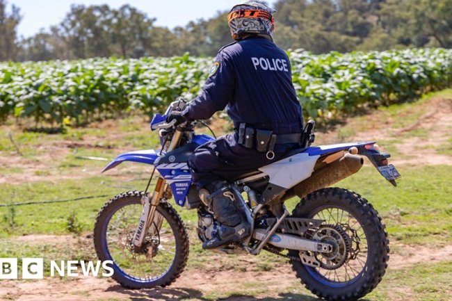 Australia: Watch moment police on dirt bikes raid illegal tobacco farm