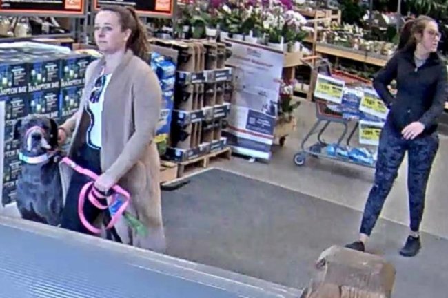 Colorado Home Depot customer attacked by dog, owner flees store
