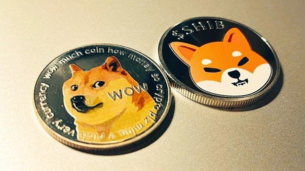Twitter Logo Replacement Leads to 30% Price Increase In Dogecoin, Big Eyes Coin’s NFT Collection Dazzles Investors