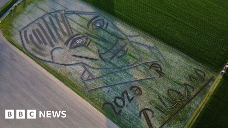 Giant sketch in field marks Picasso death anniversary