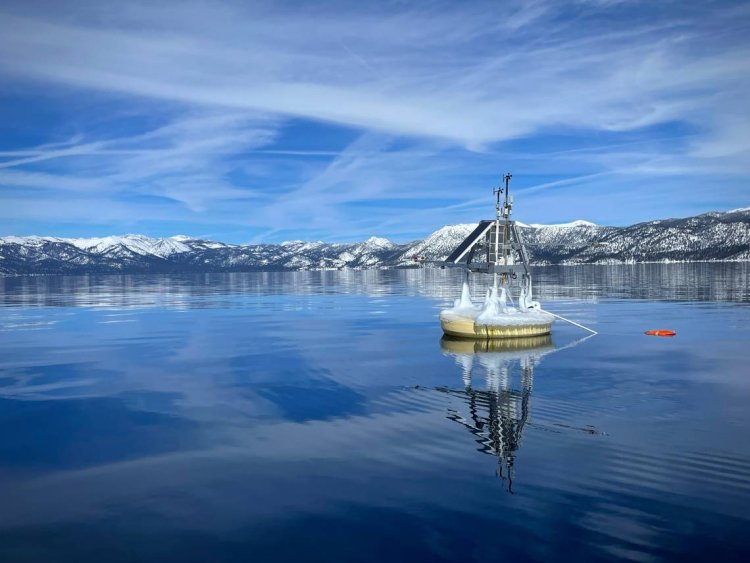 Lake Tahoe’s clarity is the best it’s been in 40 years. This animal is helping, UC Davis says
