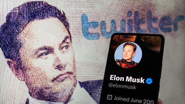 Musk Jokes His Dog Is Twitter CEO While Dismissing Concerns About Misinformation On The Platform