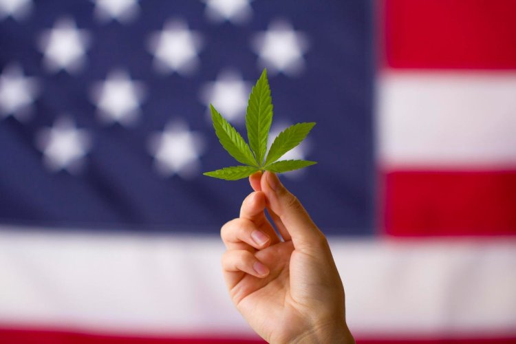 U.S. Legislation That May Impact Background Screening In 2023: Part Two – Cannabis Culture