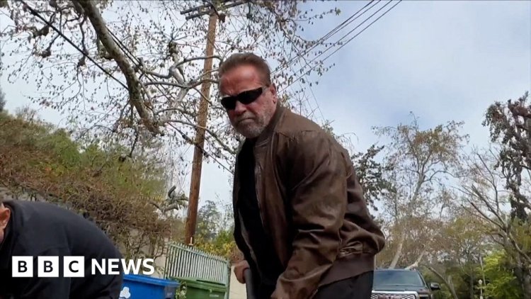 Arnold Schwarzenegger terminates neighbourhood pothole