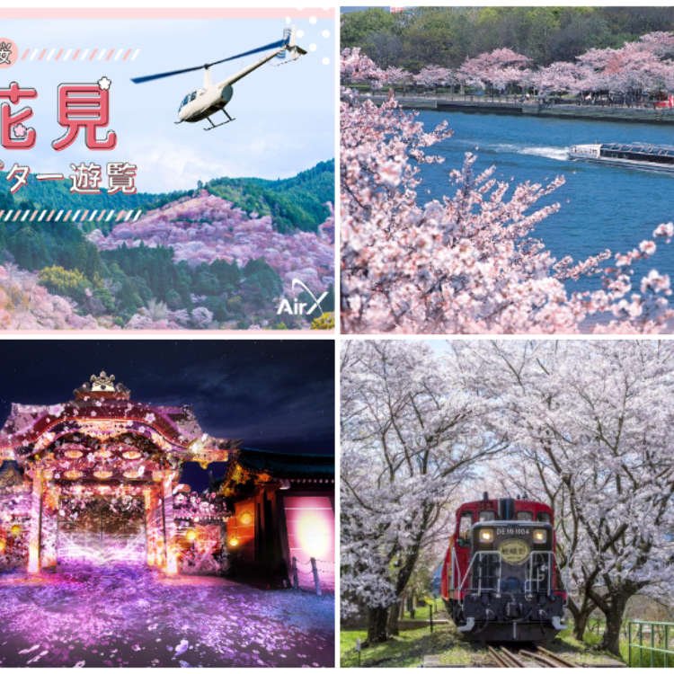 6 Trendy Cherry Blossom Viewing Experiences for 2023 (Osaka, Kyoto, and More) - No More 'Boring' Sakura Sightseeing!