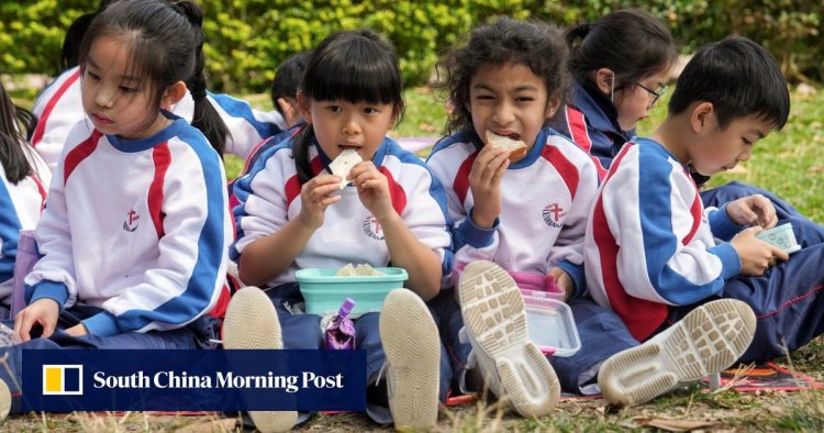 ‘5 public schools face axe in Hong Kong after failing to meet Primary One enrolment threshold’
