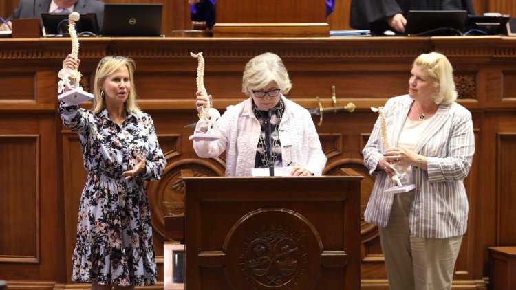 Abortion Bans Fail To Pass Legislatures In Nebraska And South Carolina