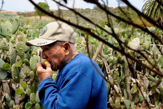 Preserving the Legacy of Japanese American Farms in Southern California