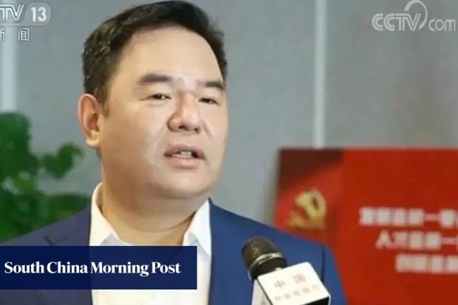 Chinese tycoon Zhang Jin, who owns Fortune Global 500 company, arrested for alleged illegal fundraising worth US$3 billion