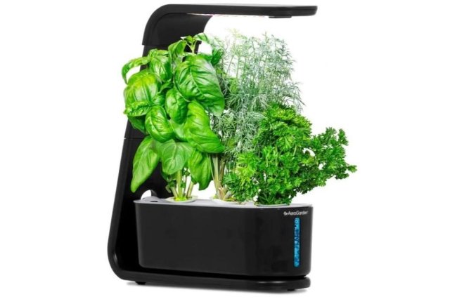 Amazon deal alert: Get the Aerogarden smart garden for less than $50