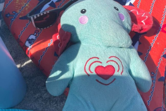 Family loses toy elephant with son's ashes inside during trip to Disney