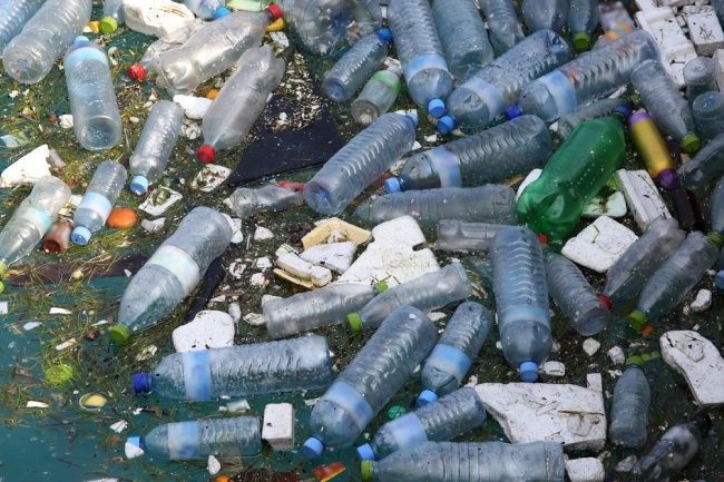One of Earth's coldest regions could pack secret to breaking down plastic