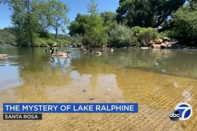 Huge prehistoric-looking creature spotted in California lake. Take a look — if you dare