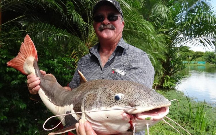 Crocodile may have eaten fisherman after flip flops found on riverbank