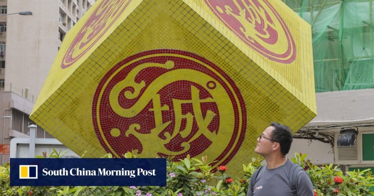 Direct election of Hong Kong district councillors could overlook ‘professional’ candidates hesitant to run, minister says