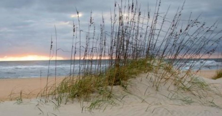 Teen dies after being trapped under sand at Cape Hatteras National Seashore