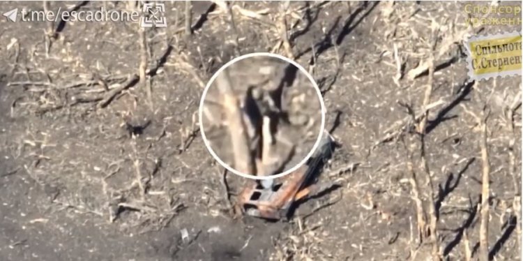 Ukrainian suicide drone operator outsmarts Russian soldier - video