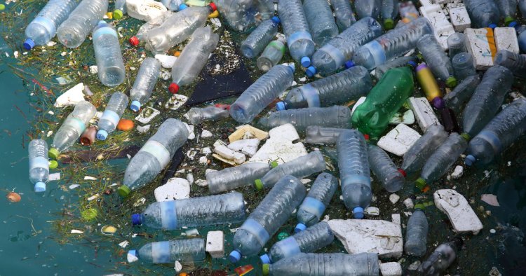 One of Earth's coldest regions could pack secret to breaking down plastic