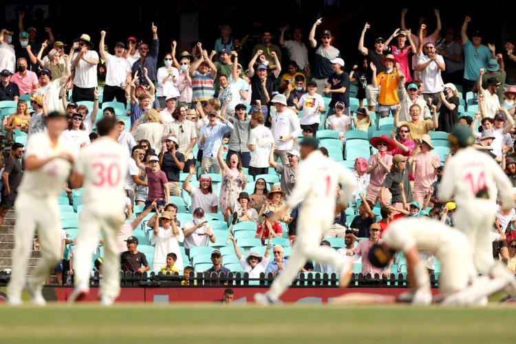 Stable Fixturing Might Help Fuel Cricket’s Popularity In Australia Beyond Peak Summer