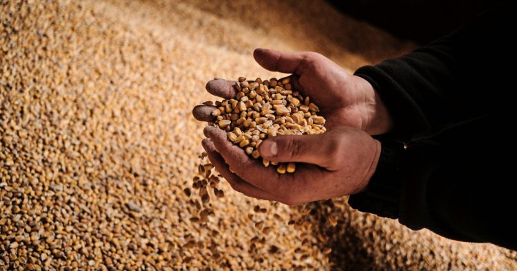 U.N.-brokered Black Sea grain deal extended to help lower food prices