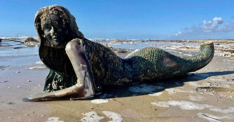 An Auction of Prosthetics, Mermaids and Creepy Dolls to Benefit Sea Turtles