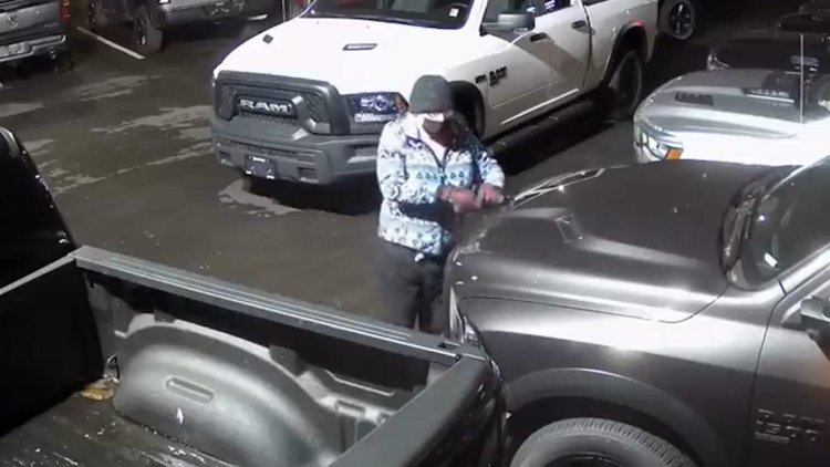 Video shows woman keying more than 400 cars at dealerships in Vancouver area