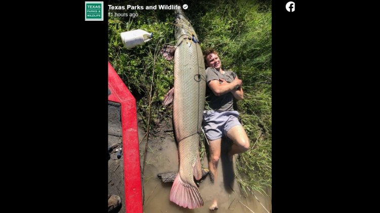 ‘Magnificent beast’ caught on Texas lake sets a new record, officials say