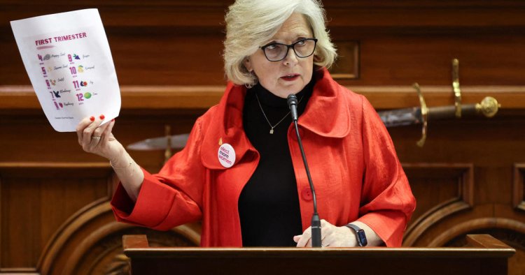 South Carolina's "sister senators" on opposition to abortion ban bill