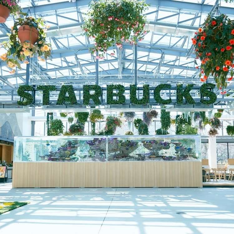 This Japanese Starbucks Opened Inside a Blooming Greenhouse (We Have Photos!)