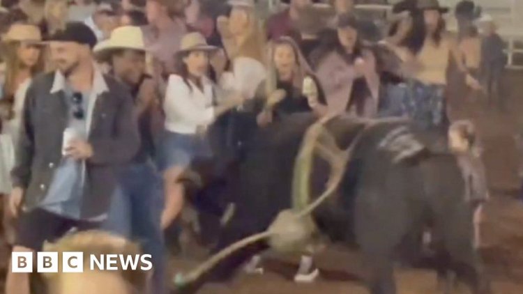 Watch: Escaped bull charges into dancing crowd leaving two injured