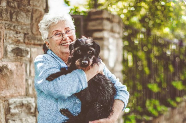 Puppy Love: How Adopting a Dog Can Bring Joy to Women Over 60