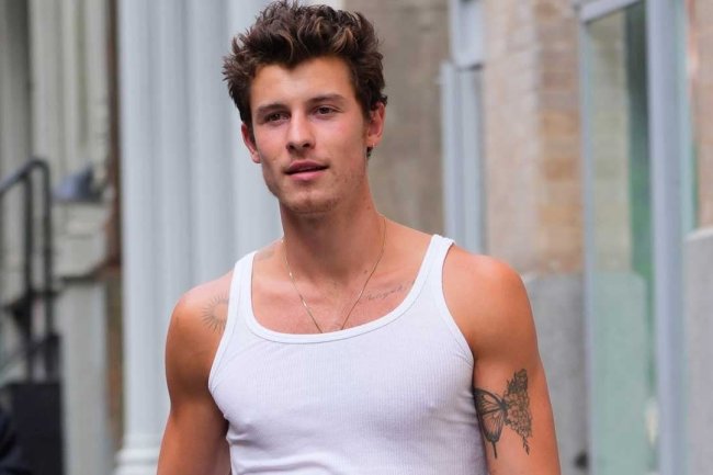 Shawn Mendes Drops New Single 'What The Hell Are We Dying For?' Amid Canadian Wildfires