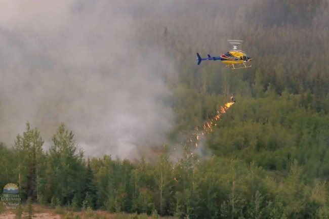 Viral Video Alleging Canadian Wildfires Were ‘Set Up’ Is Very Misleading