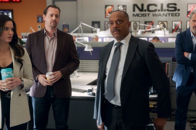 How Many ‘NCIS’ Shows Are There? A Complete Guide