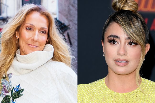 No, Céline Dion Didn’t Roll Her Window Up on Ally Brooke in Viral Video: ‘That Was Not Me’