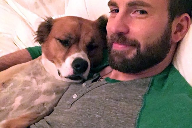 See All the Celeb Dog Dads With Their Adorable Pups