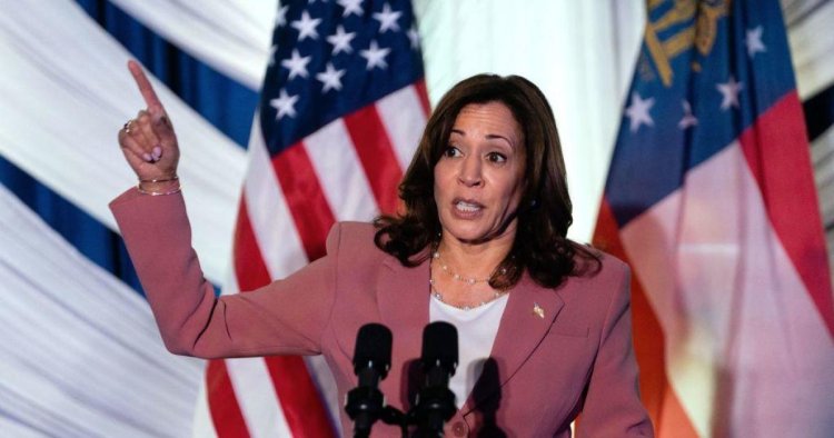 VP Harris to be a "leading voice" on gun violence heading into 2024