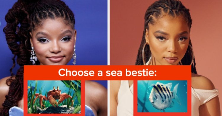 You Either Give Chloe Or Halle Bailey Energy Based On "The Little Mermaid" Things You Choose