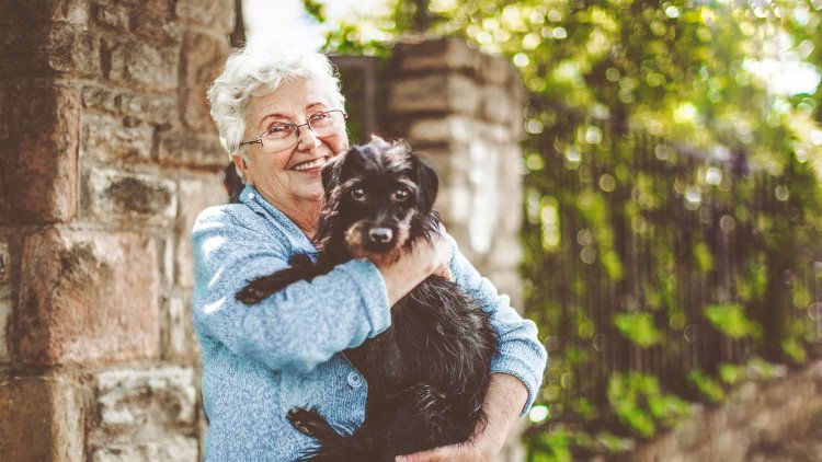 Puppy Love: How Adopting a Dog Can Bring Joy to Women Over 60