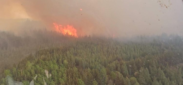What's causing Canada's raging wildfires? It's not as simple as blaming climate change, expert says