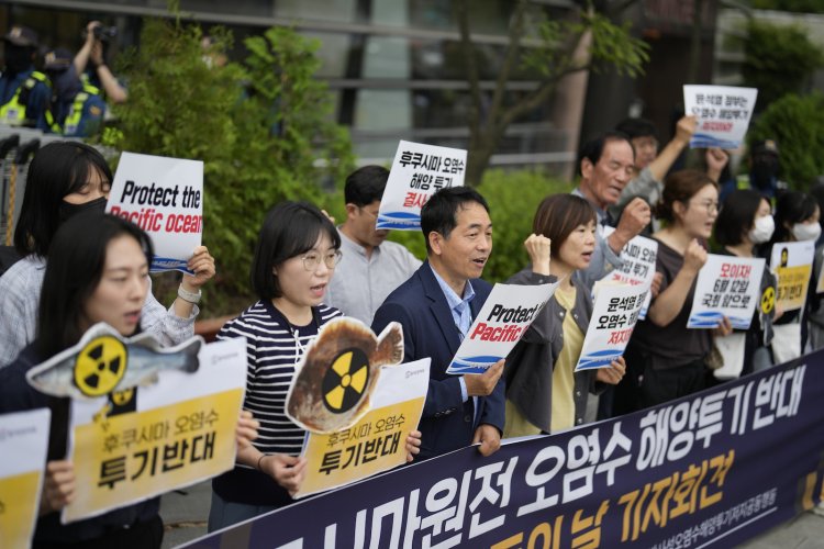 Koreans protest