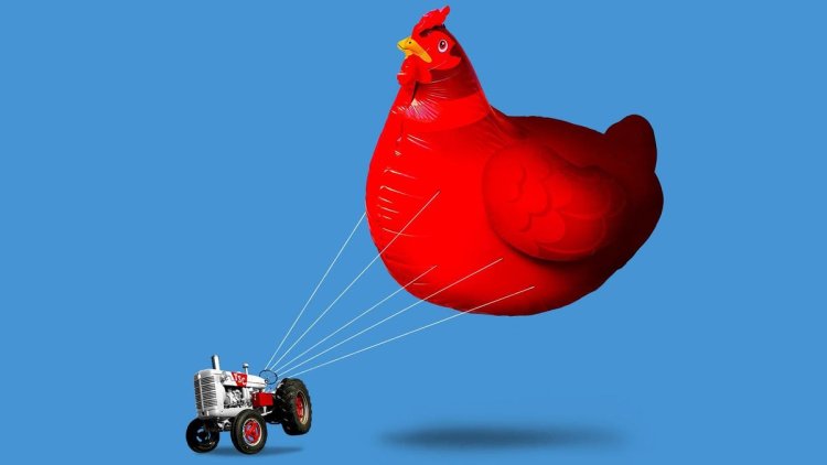 How Tractor Supply’s ‘Inflation Chickens’ Are Ruling The Backyard Roost