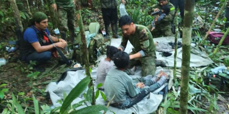 Children Lost in Amazon Jungle After Plane Crash Found Alive