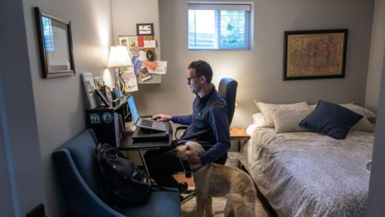 Commute no more: US employees embrace telework
