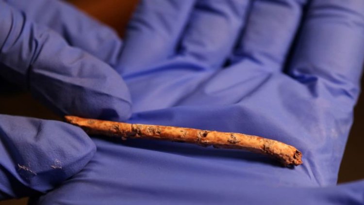 Prehistoric bird-wing flutes music to the ears of archaeologists in Israel