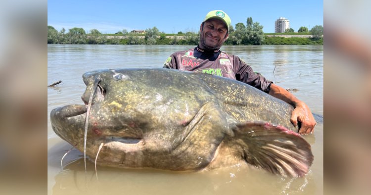 9-foot long "monster" catfish caught in Italy