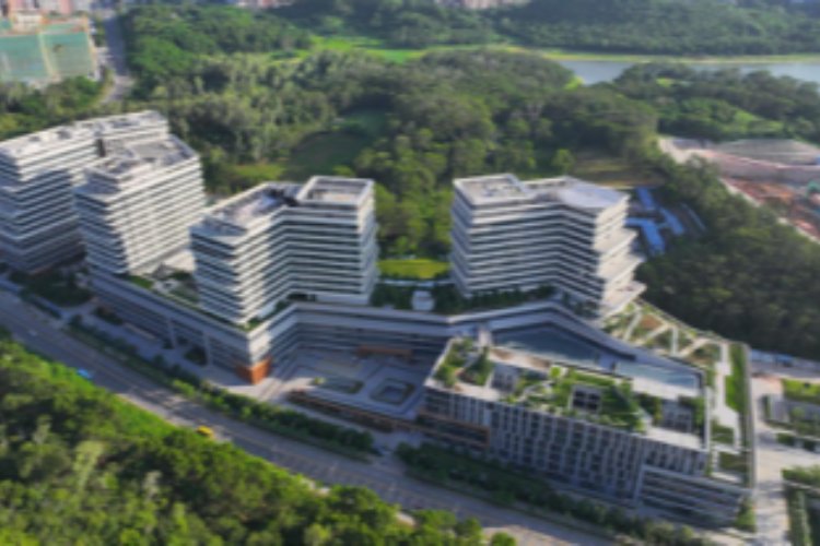 【深新闻】深圳市龙华区综合医院竣工验收，打造康复花园式医院