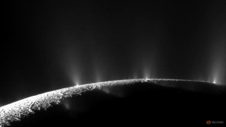 Saturn's icy moon Enceladus harbors essential elements for life