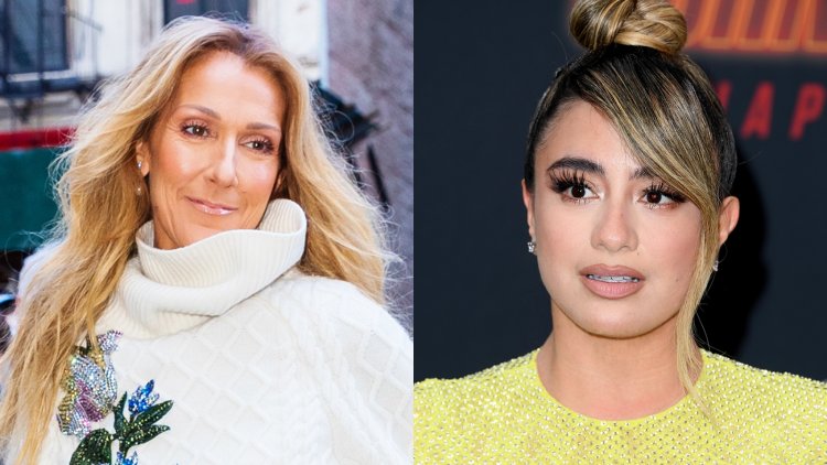 No, Céline Dion Didn’t Roll Her Window Up on Ally Brooke in Viral Video: ‘That Was Not Me’